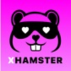 xhamster live 3b4d05